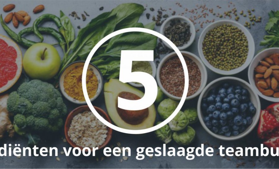 FarmFun_Blog_Het-recept-voor-gesmaakte-teambuildingactiviteit_KM_SR_ML-940x571