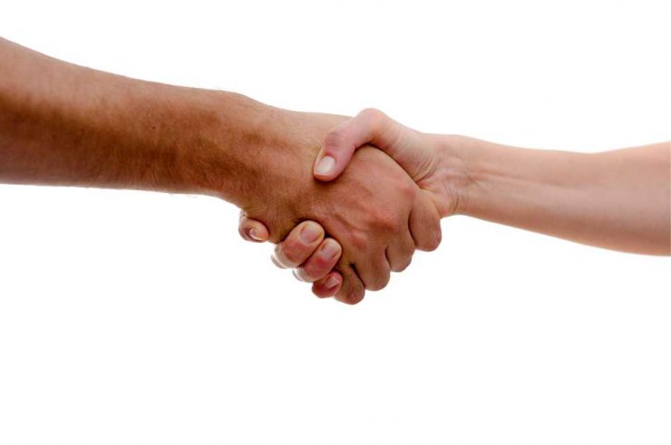 hands