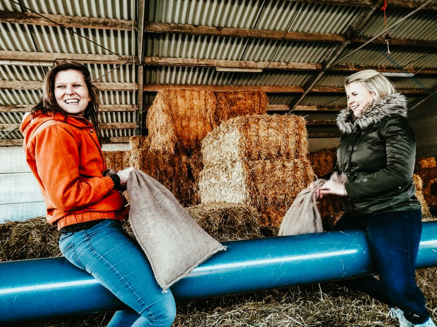 received_288144323403479